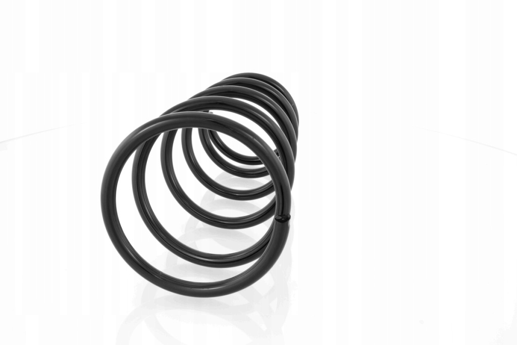 Пружина перед renault megane+ scenic i 95- в Украине