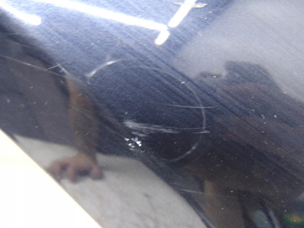 Крыло  правый  перед передний audi a4 b8 цвет lx5r Недорого