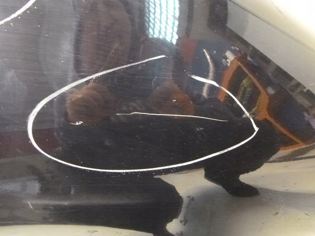 фото №5, Крыло правый citroen xsara picasso exyb