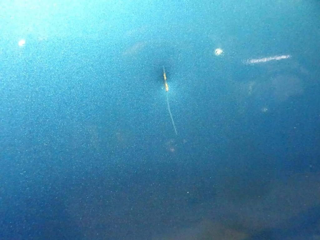 фото №6, Дверь правое перед citroen c3 picasso kgwc