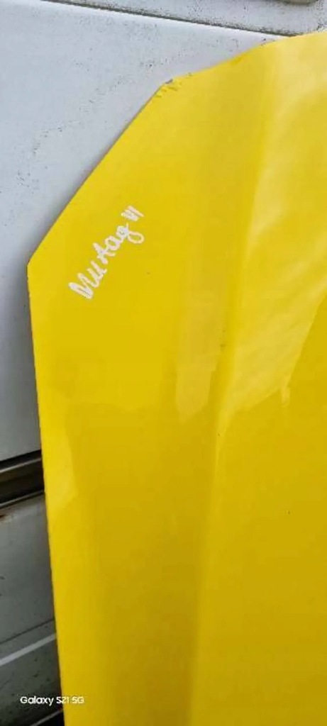 фото №12, Капот кришка двигуна ford mustang vi 2015