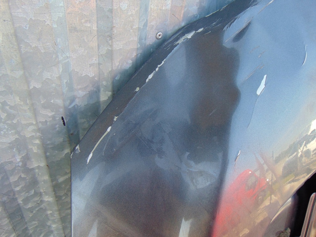 фото №5, Капот кришка двигуна ford mustang vi gt 5.0 2017r