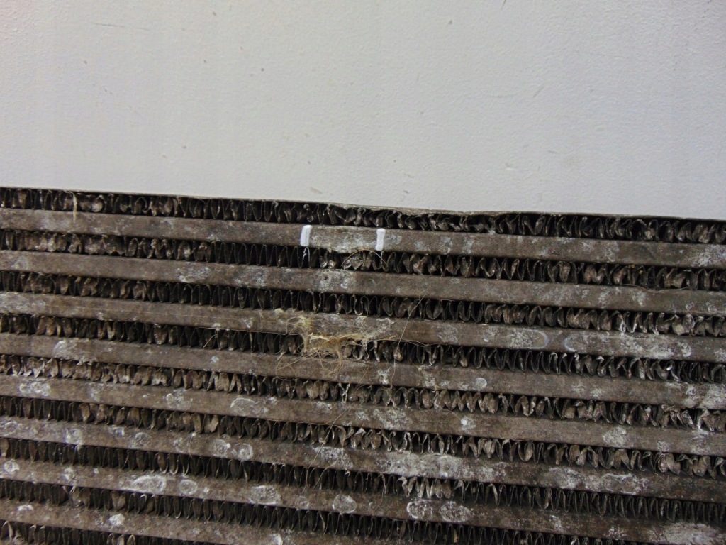 Купити Радіатор інтеркулер audi a4 a5 b9 8k0145805r