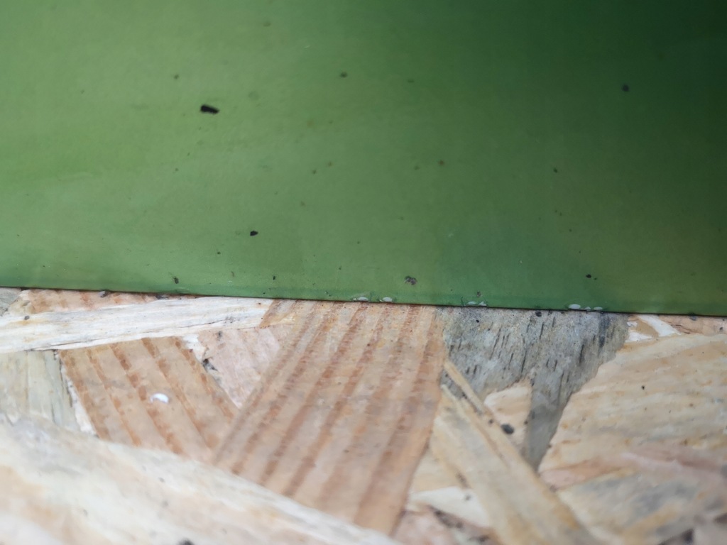 фото №16, Fiat qubo двері праве зсувні