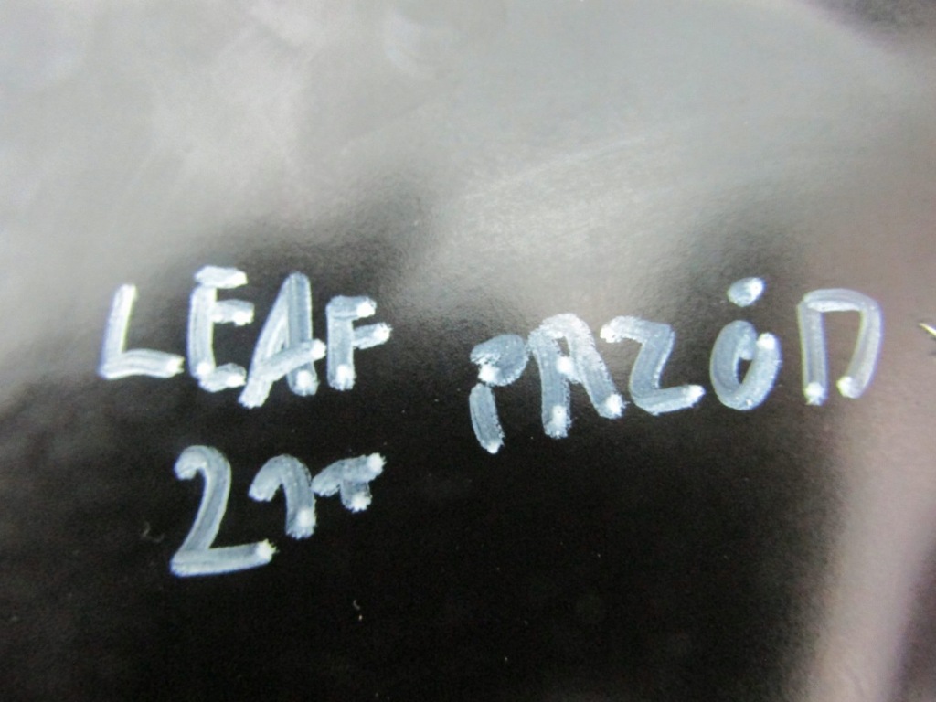 фото №12, Leaf ii ze1 21r заглушка кришка кришка роз'єм порт заряджання