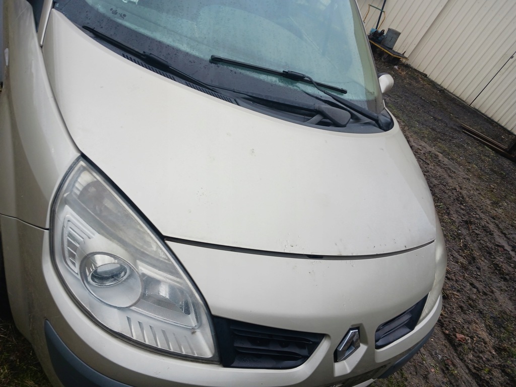 фото №1, Капот крышка двигателя renault scenic ii 2 te866
