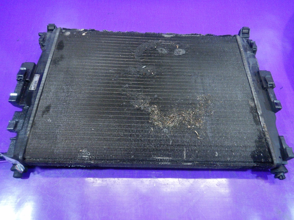 фото №1, Scenic ii grand 1.9 радиатор wody 872199f