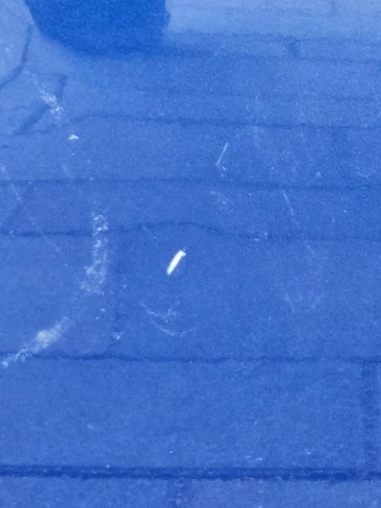 фото №12, Berlingo partner 18- двері ліва зсувні