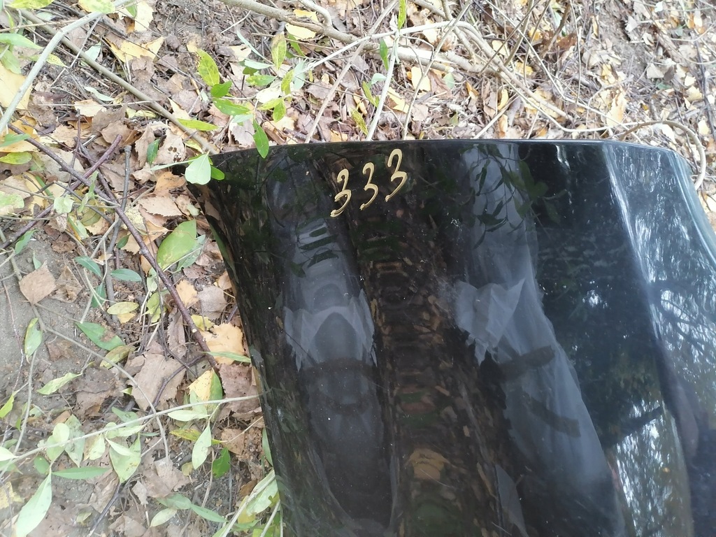 фото №6, Бампер задняя nissan murano z50 85022ca040