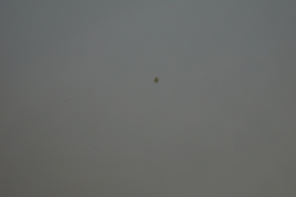 фото №12, Двері правий перед audi a4 b8 ly9c