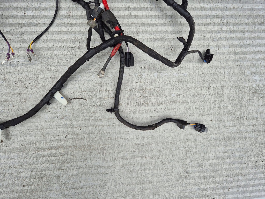 фото №6, Mustang mach-e 20- джгут датчиків pdc бампера передній nj8t15k867