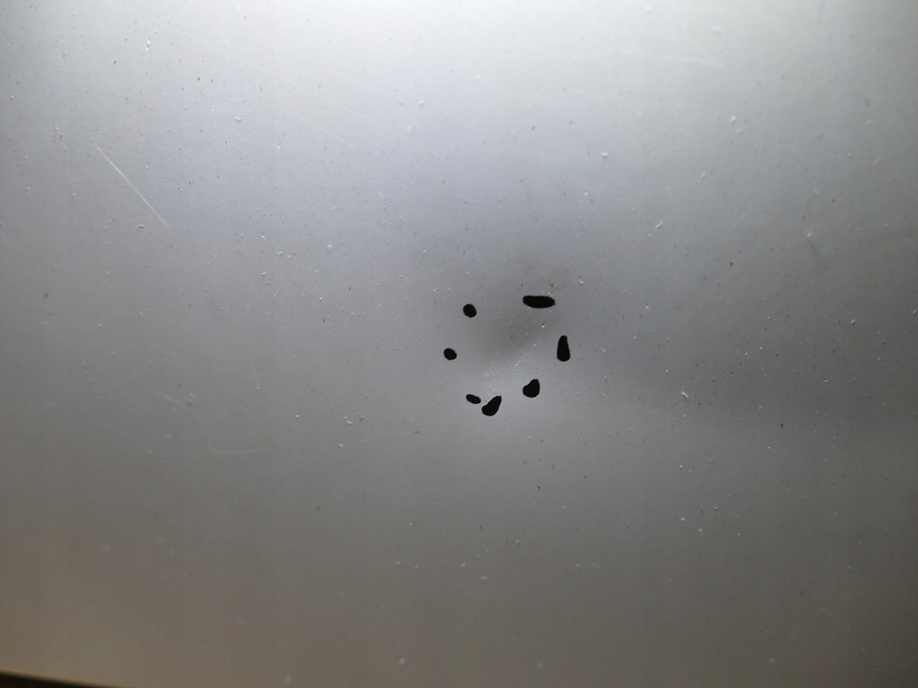 фото №8, Fiat doblo i капот крышка двигателя белый 04r