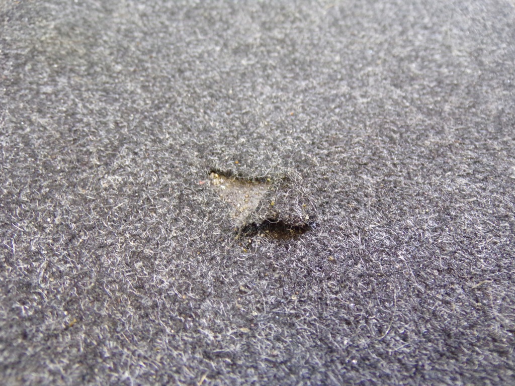 Пол багажника renault clio 3 iii kombi k2 Доставка