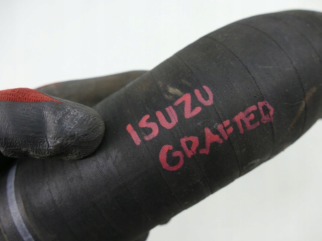 фото №5, Isuzu grafter n35 3.0 d шланг воздуха труба n75