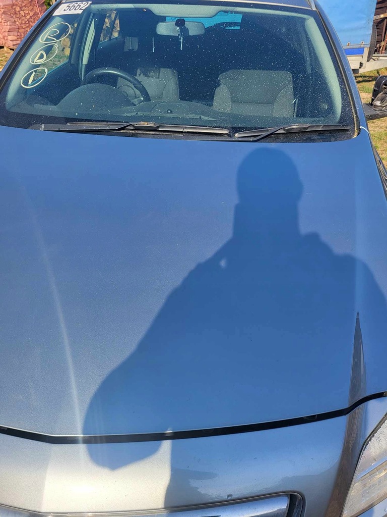 фото №4, Капот opel insignia a z179