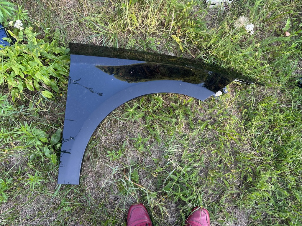 фото №1, Крила лівий перед передній leon iii 3 5f 12-20 ly9t