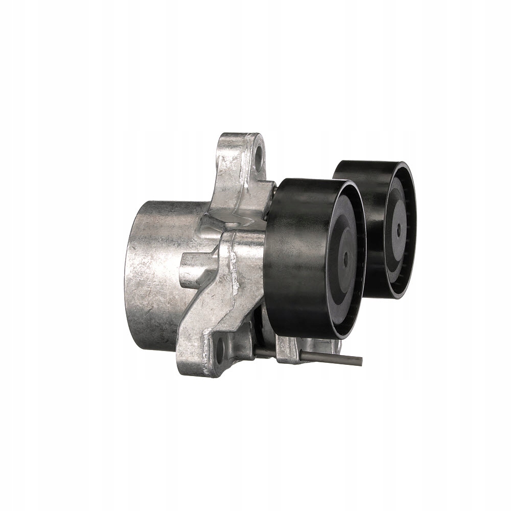 Купить Натяжитель ремень клиновой многоручейковый gates t39198