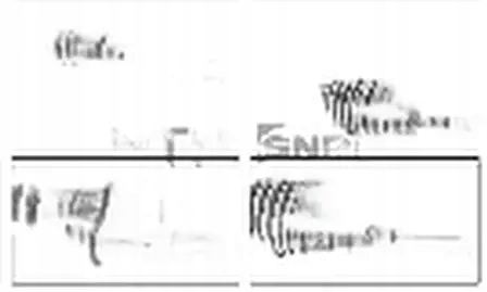Купить Приводной вал правый  перед dk55.130 snr renault kangoo 1