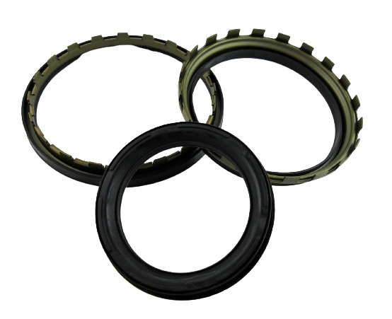 фото №1, Поршні набір 722.9 05+