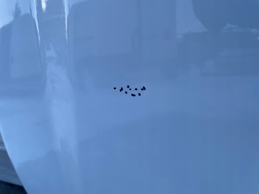 фото №4, Ford connect mk2 капот