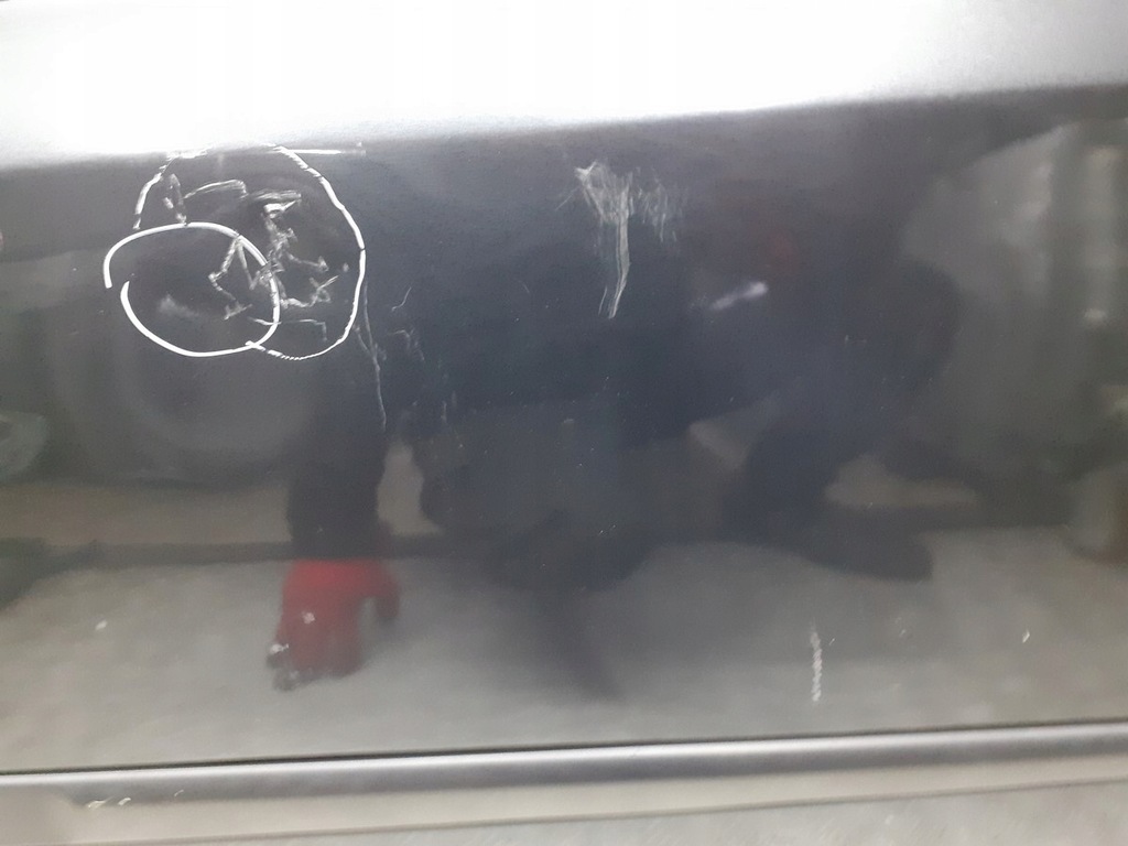 фото №3, Дверь левый задняя renault laguna ii teb66