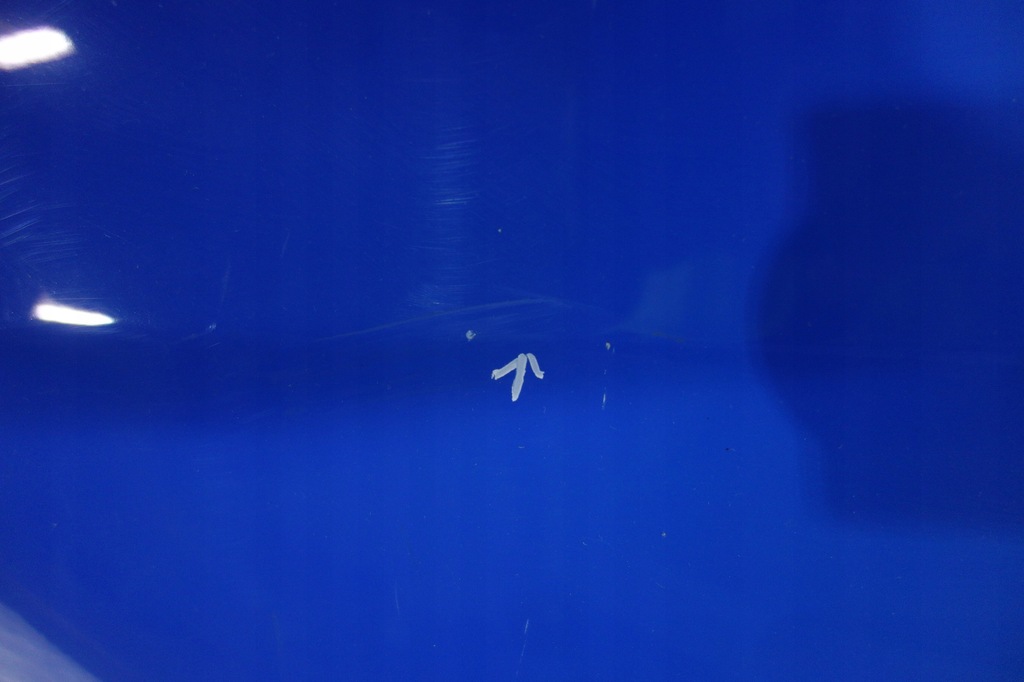 фото №7, Крыло перед правый vw polo v 5 6r 09-17 цвет -d5c