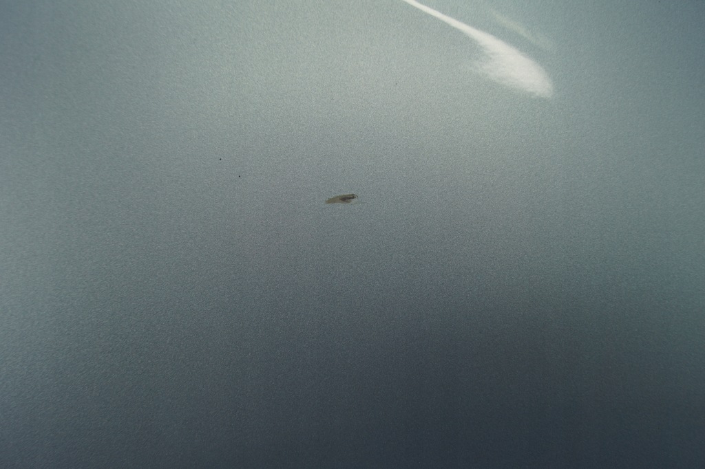 фото №7, Крила правий перед mazda 5 33y