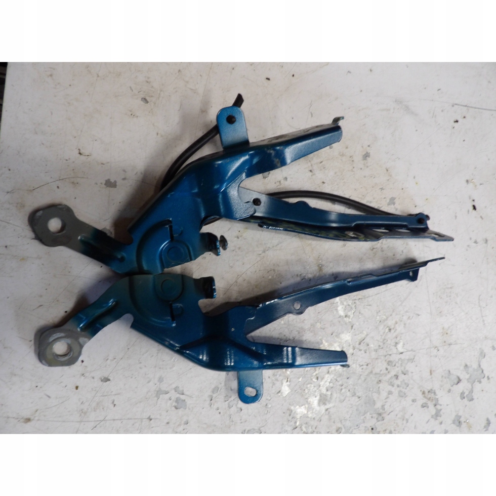 фото №1, Петлі капот citroen ds3 crossback