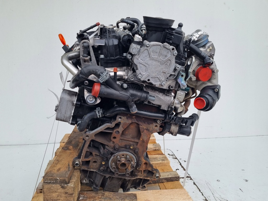 фото №12, Двигатель bez оборудование vw golf vi 1.6 tdi 105km ładnie pali cay cayc