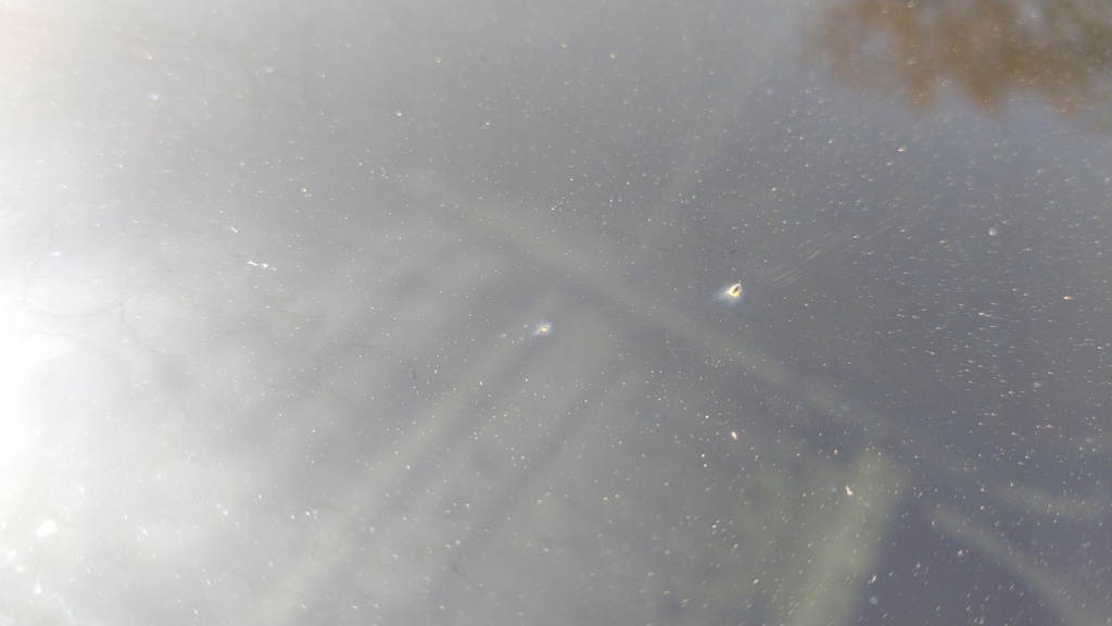 фото №10, Tesla model 3 чверть ліва права задня задня дах панорама