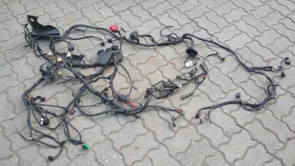 фото №1, Tata indica 1.4 жгут электропроводка двигателя отсек