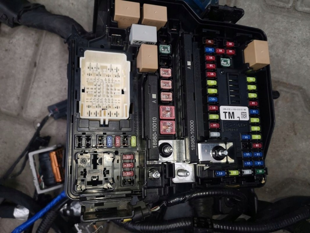 фото №7, Электропроводка отсек двигателя santa fe iv 2.2 crdi 20r