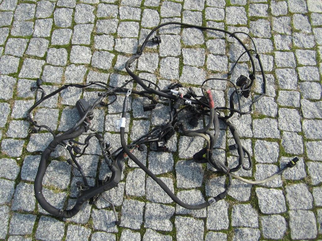 фото №1, Жгут двигателя mercedes r-klasa w251 3.0 v6 cdi