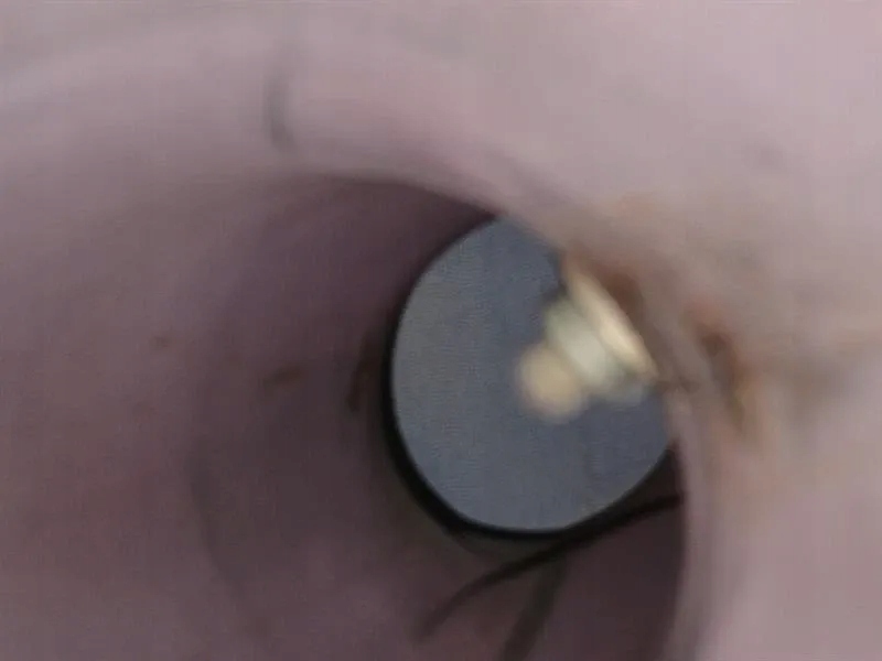 Ferrari 488 f142m набор катализатора 321609 набор катализатора Доставка