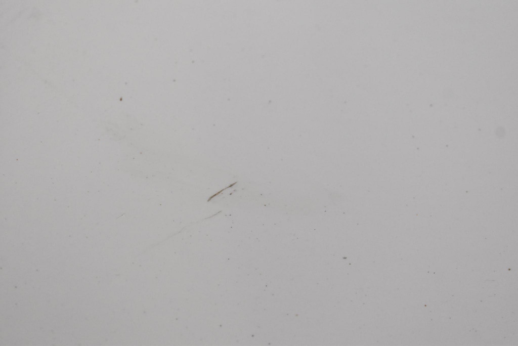 фото №6, Дверь левая перед передние белый peugeot expert 2 ii 07-12