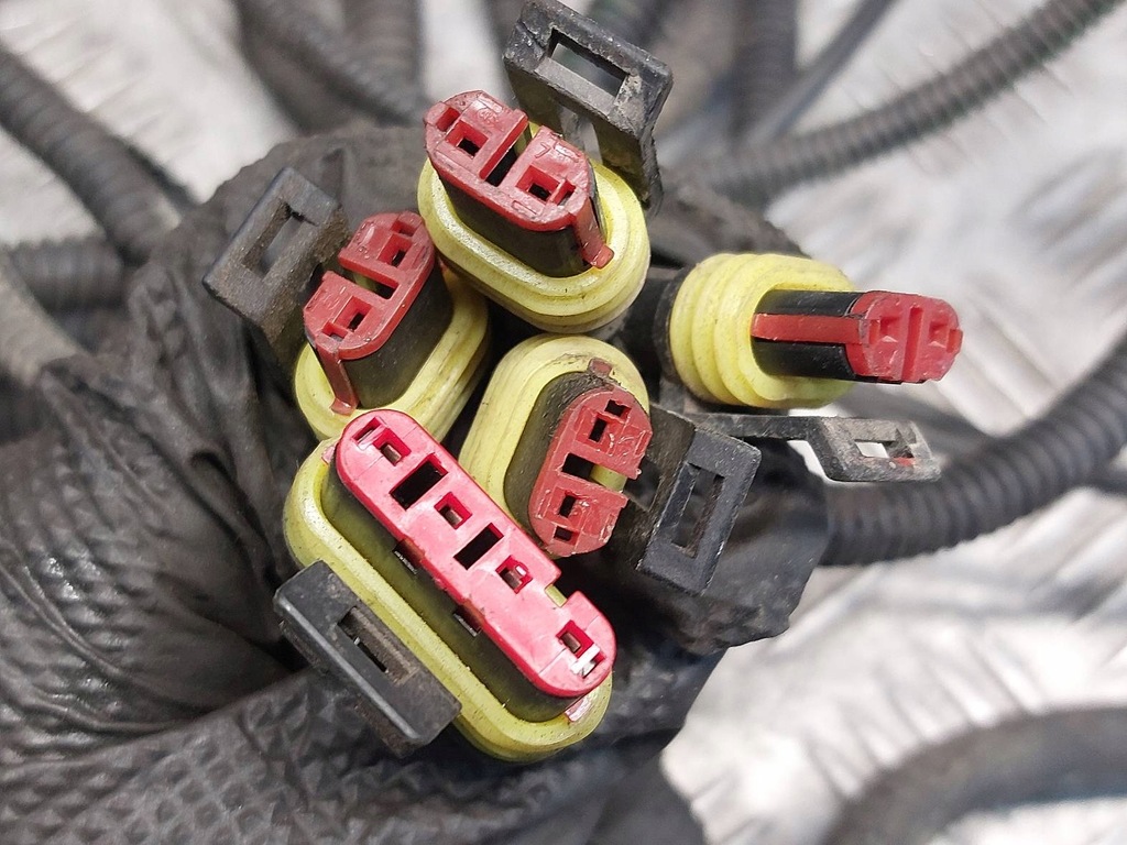 фото №14, Електропроводка газова lpg kme diego ls 67r-013949 67r-010275 67r-010906