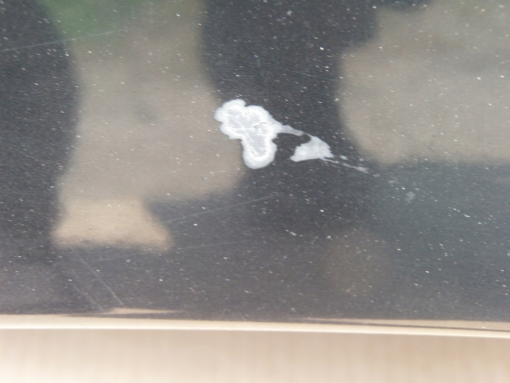 фото №11, Капот малий решітка радіатора lz9w audi a3 8p 2.0 tdi 3d