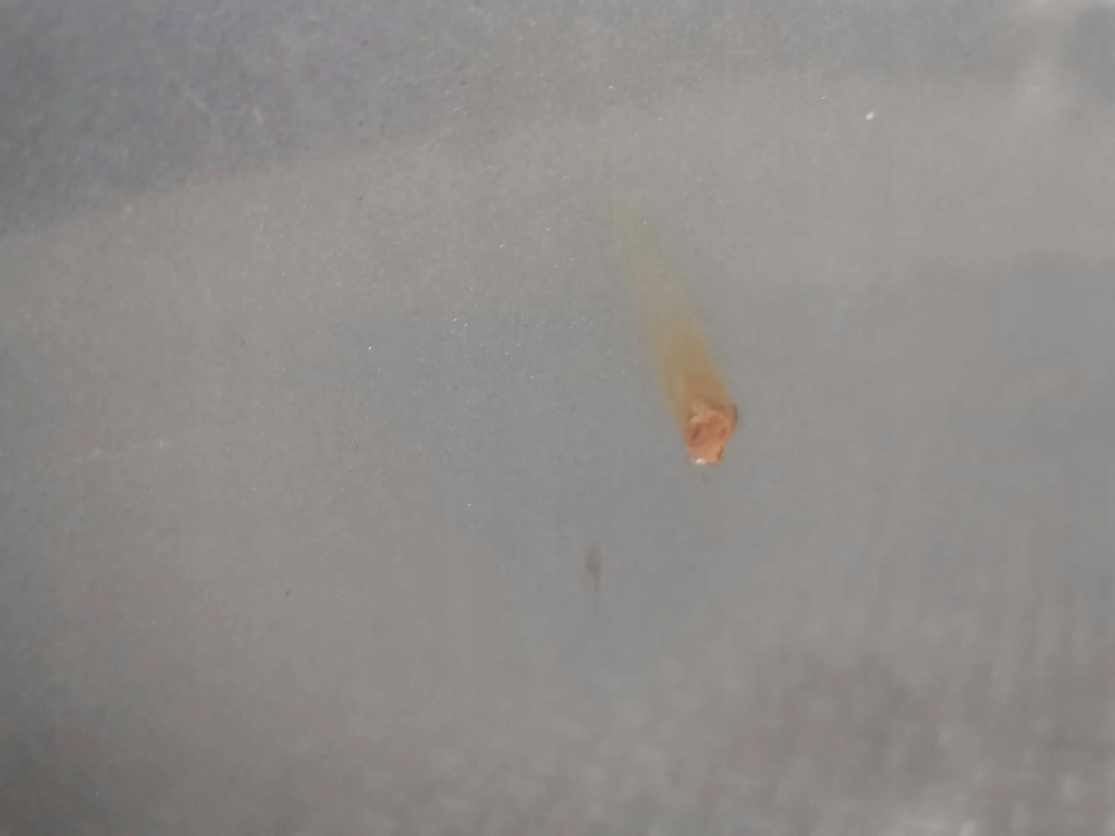 фото №6, Капот кришка двигуна audi a4 b8 ly7g