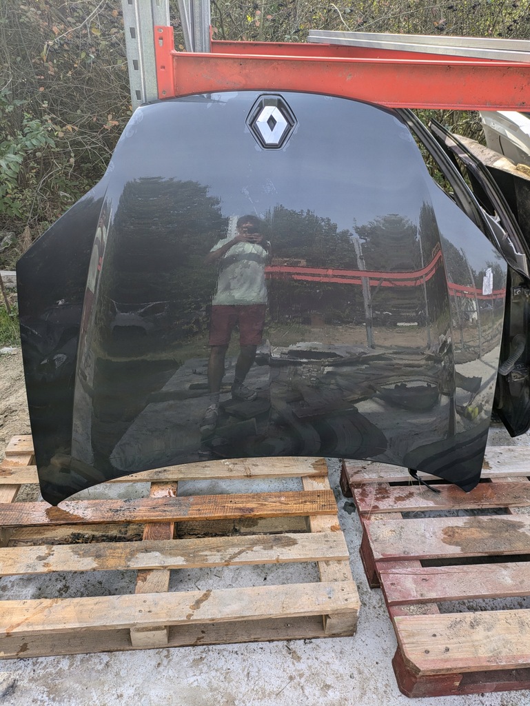 фото №1, Капот renault laguna iii teb66 w цвет