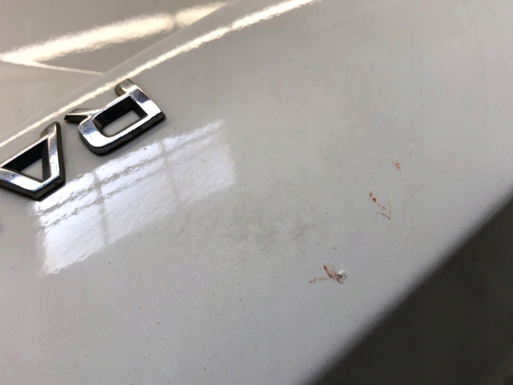 фото №10, Крышка багажника задняя skoda rapid хэтчбек белый candy задняя, багажника