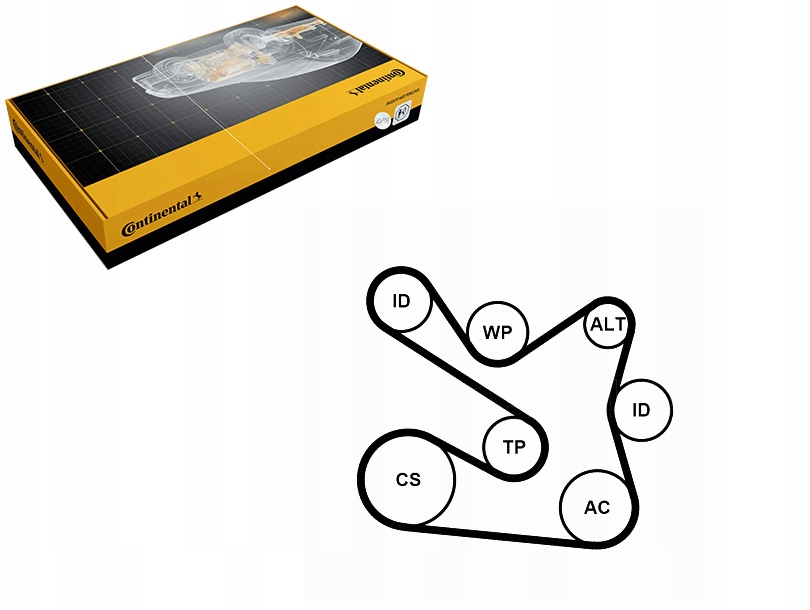 фото №1, Набор ремни многоручейковых с ролики dacia dokker dokker express