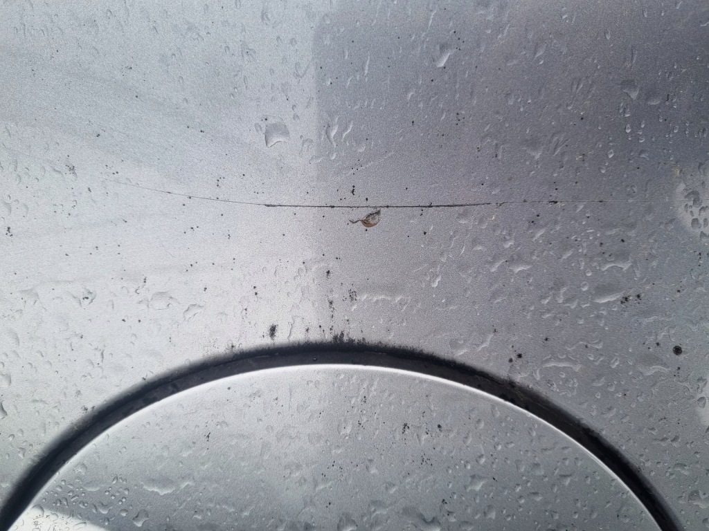 Bmw seria 1 e87 04-07 2004 r. 5d hb a18/7 четверть крыло  правый  задняя pt с Разборки