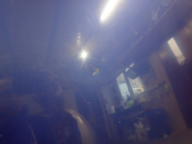 фото №6, Капот кришка двигуна hyundai tucson iii 3 15-