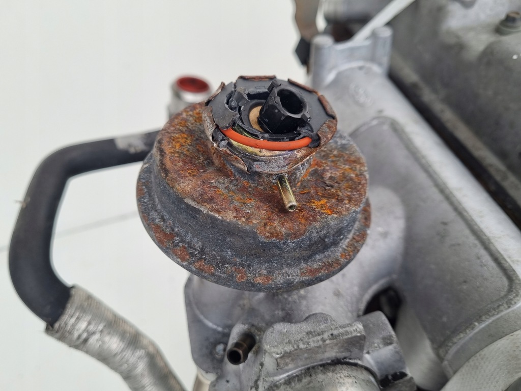 фото №13, Двигатель комплект ford transit connect 1.8 tdci 90km hcpa