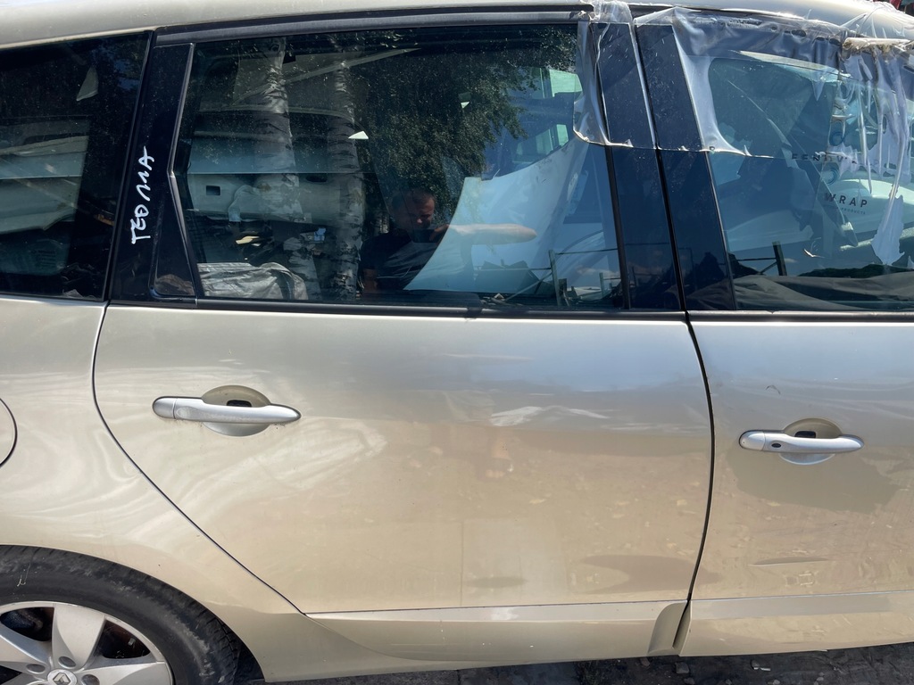 фото №1, Двері scenic iii ted11