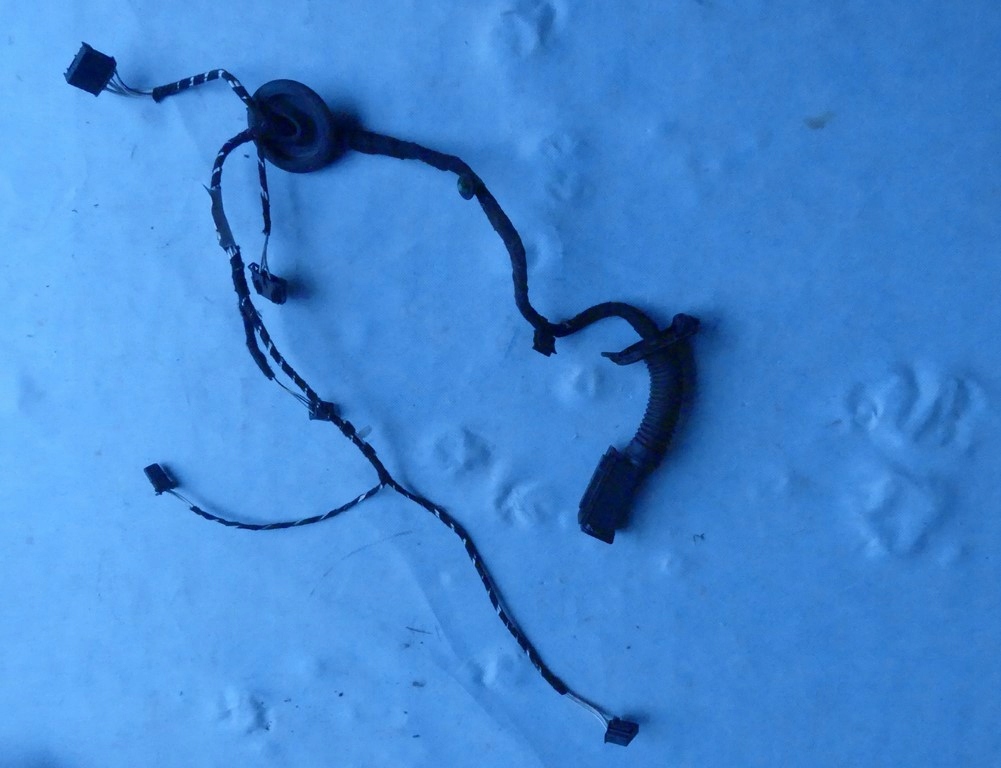 фото №1, Dw golf 7 sportsvan джгут двері 510971693b лівий задня