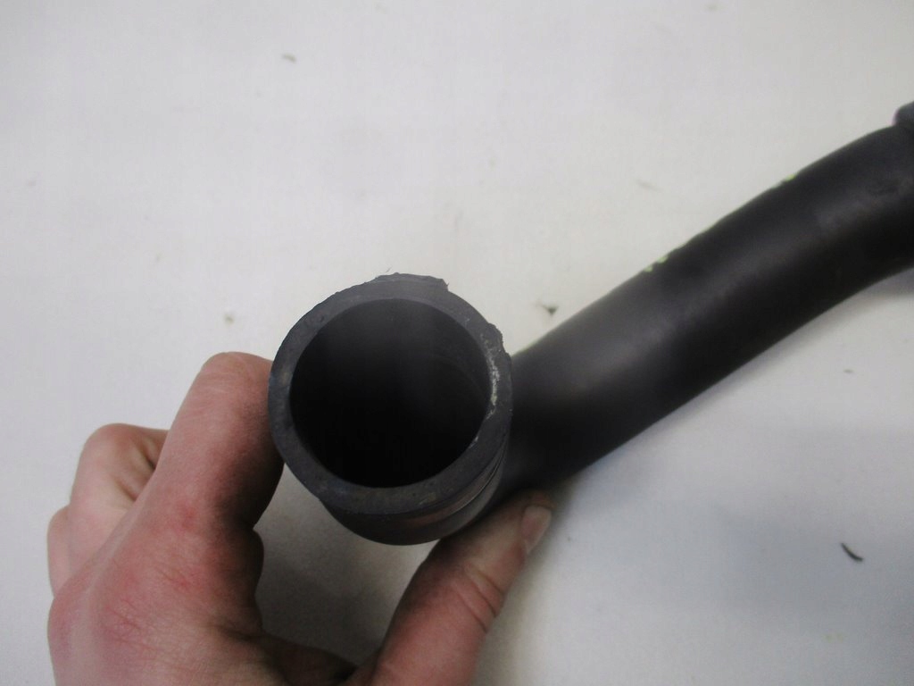 фото №6, Wąż труба wody renault kangoo i 1.5 dci