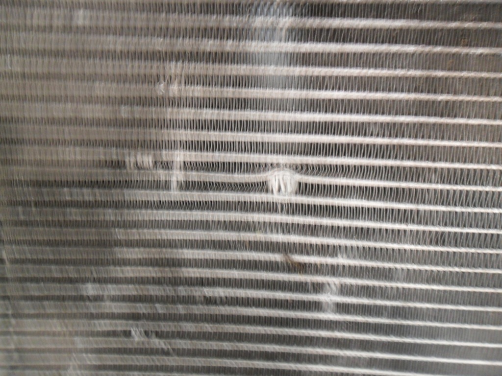 Citroen zx 96 радиатор воды Недорого