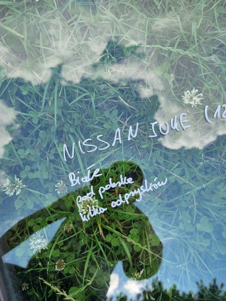 фото №11, Nissan juke i f15 двері передні праве