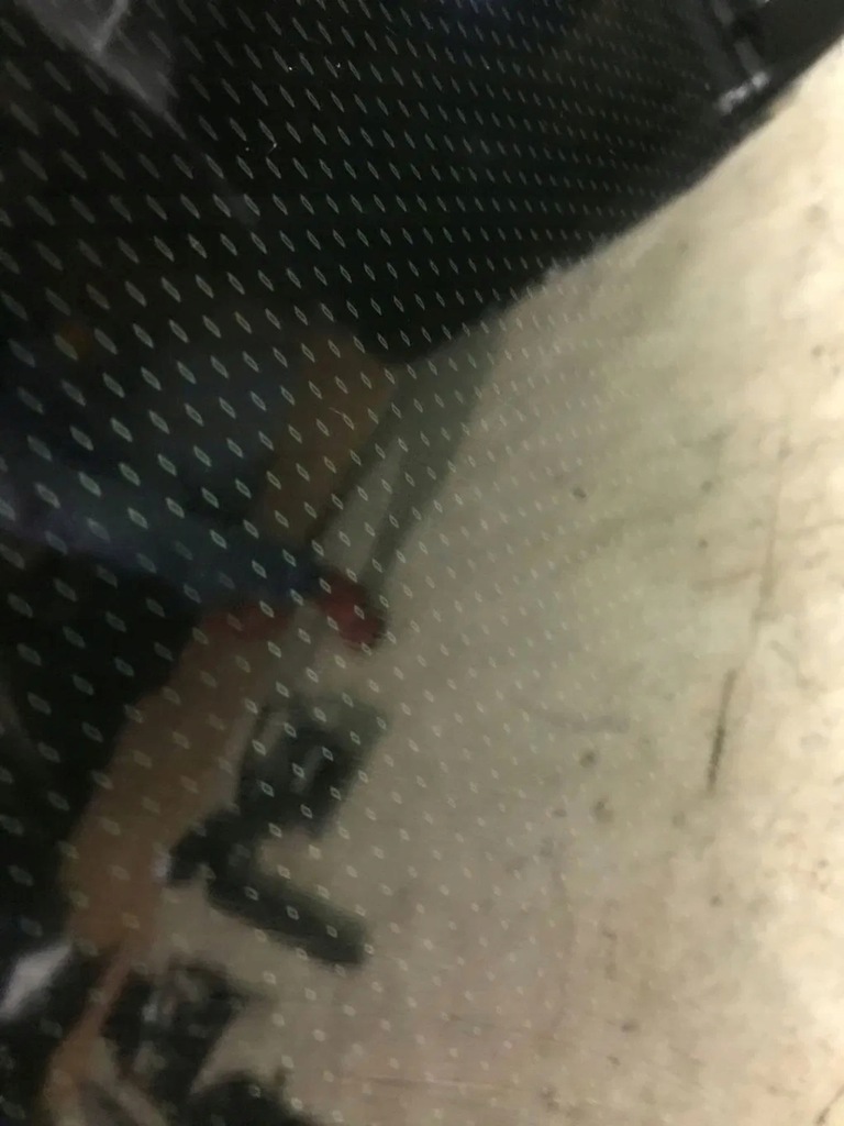 фото №7, Панорама дах панорамний bmw g05 f95 sky lounge